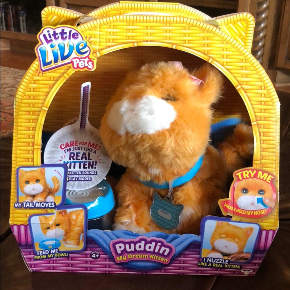 Little Live Pets Puddin My Dream Kitten